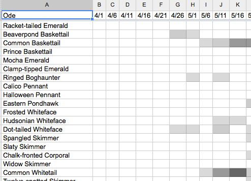 Screenshot of spreadsheet